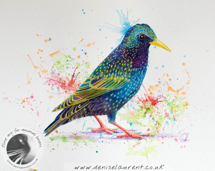Splashy Starling - Sold