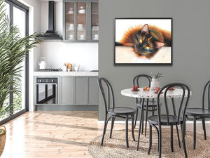 Sunbathing - Tortoiseshell Cat Art Print