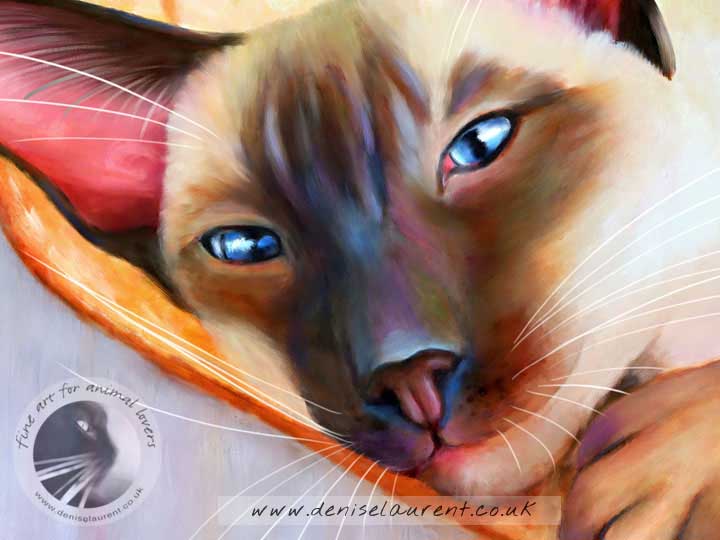 The Hammock - Siamese Cat Art Print