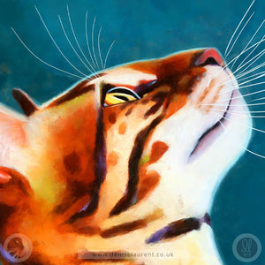 What's Up - Bengal Cat Fine Art Print