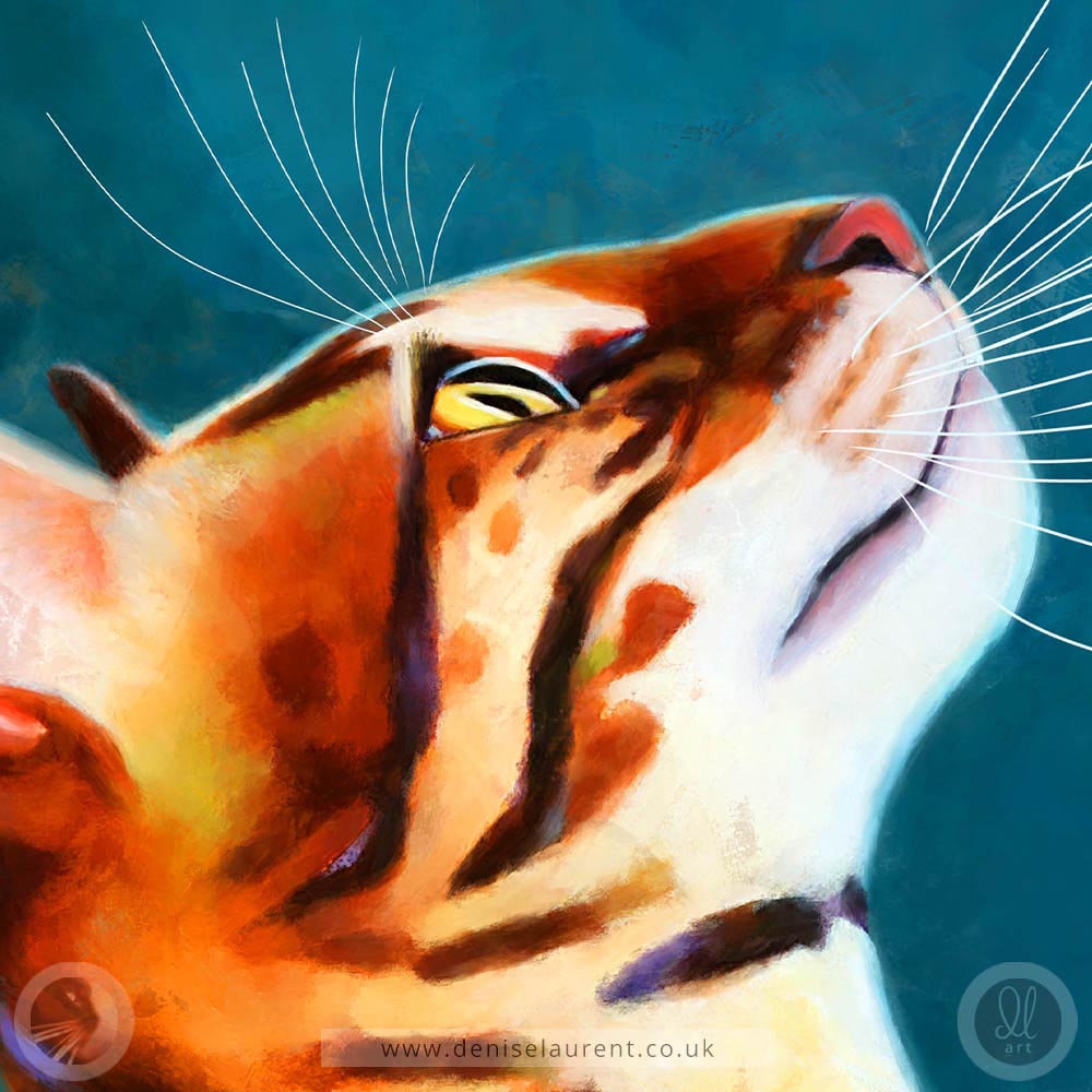What's Up - Bengal Cat Fine Art Print