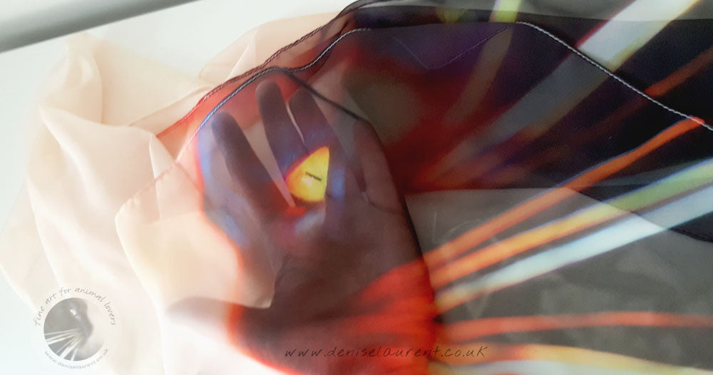 Whisker Face Chiffon Scarf