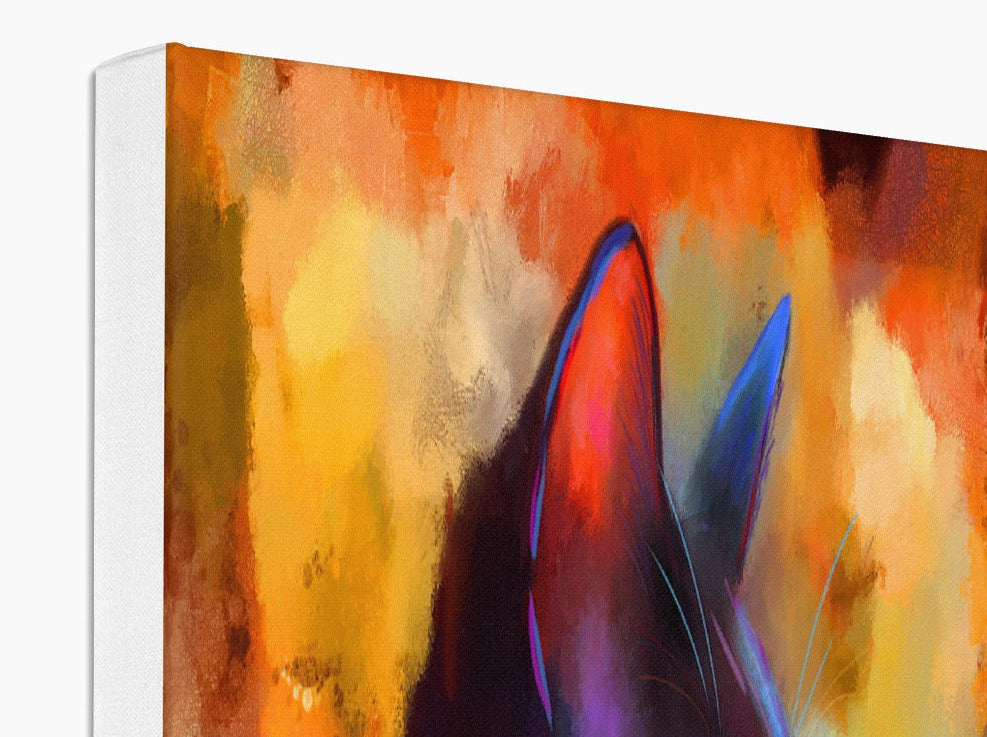 black cat on a colorful background