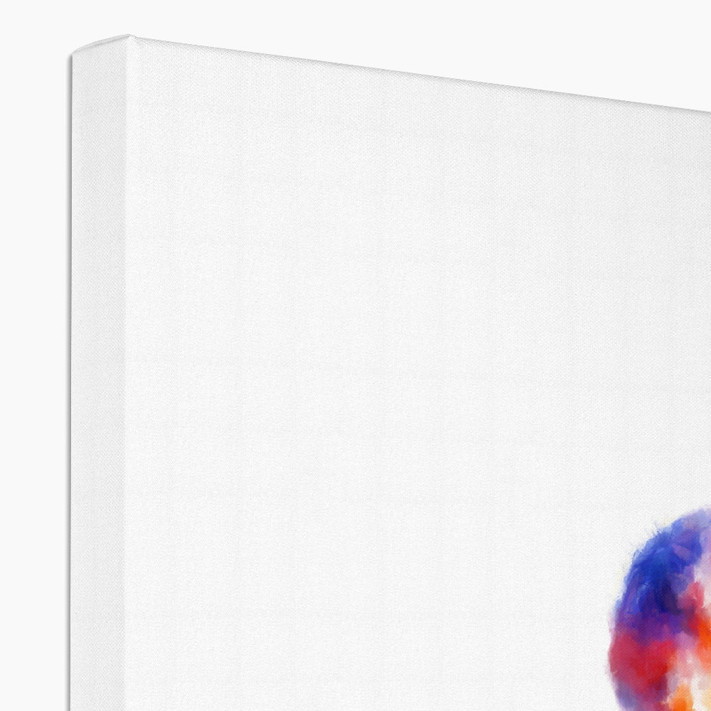 a colourful ahre on a wgite background with a long purple shadow