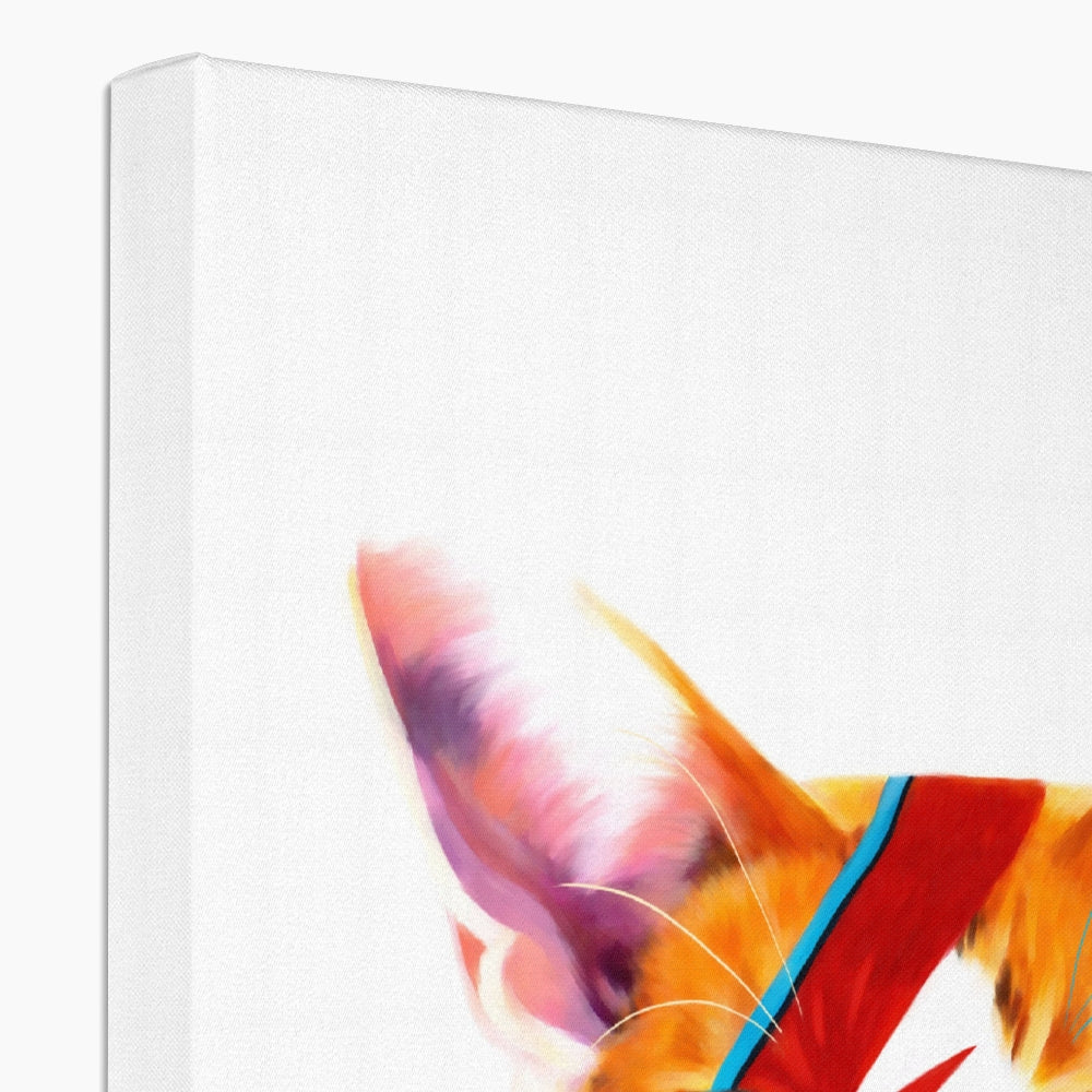 white and ginger cat with a red zig zag like the aladdin sane album cover