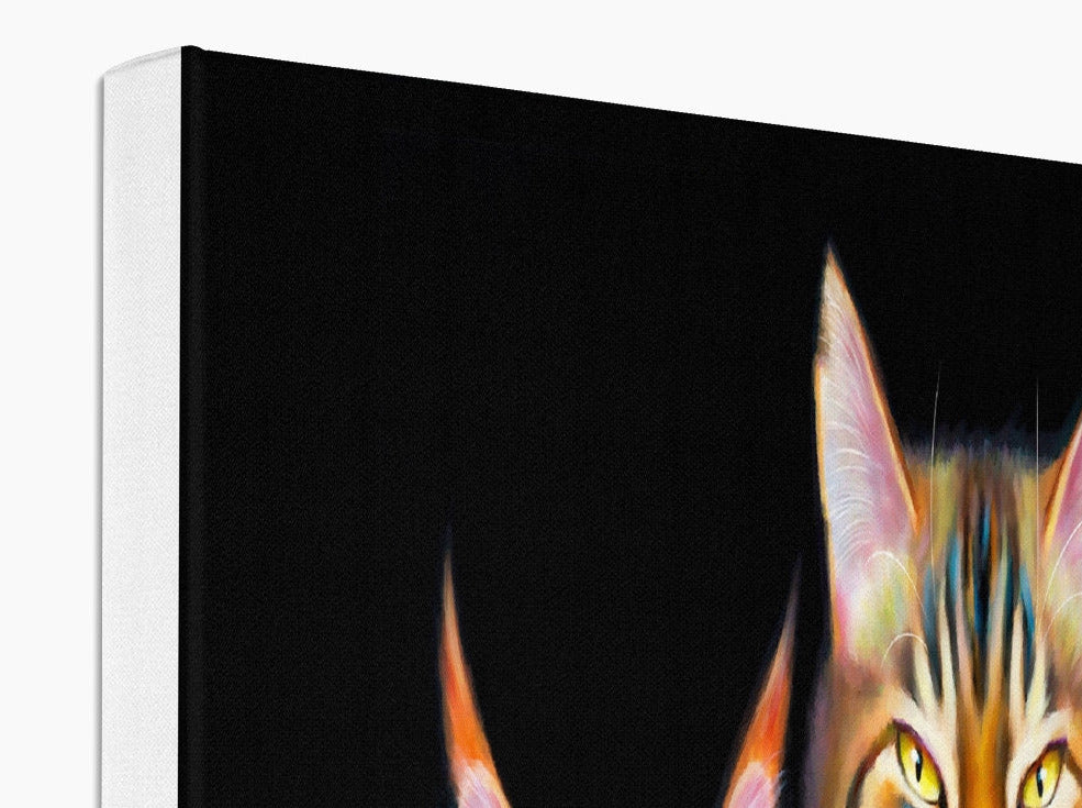 four cats recreating the queen album cover