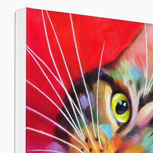 Here's Looking At You Kid! Tabby Cat Eco Canvas