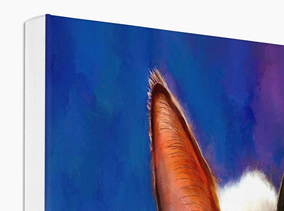 a siamese cat with blue eyes on a blue background