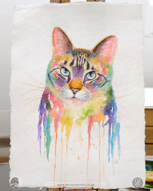 Portrait Of Sneakers