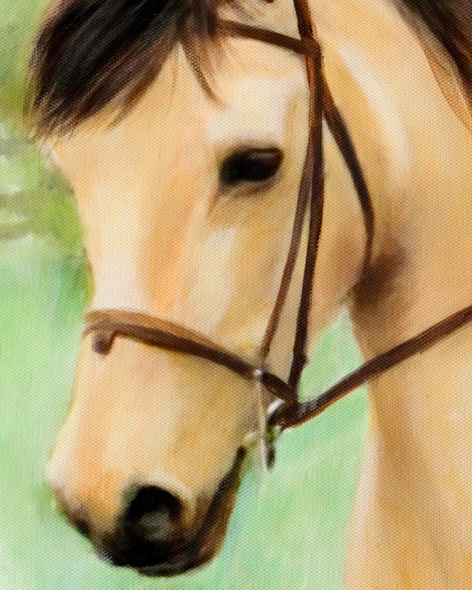 Close-up of a horse's head with a bridle against a blurred natural background. Original acrylic painting