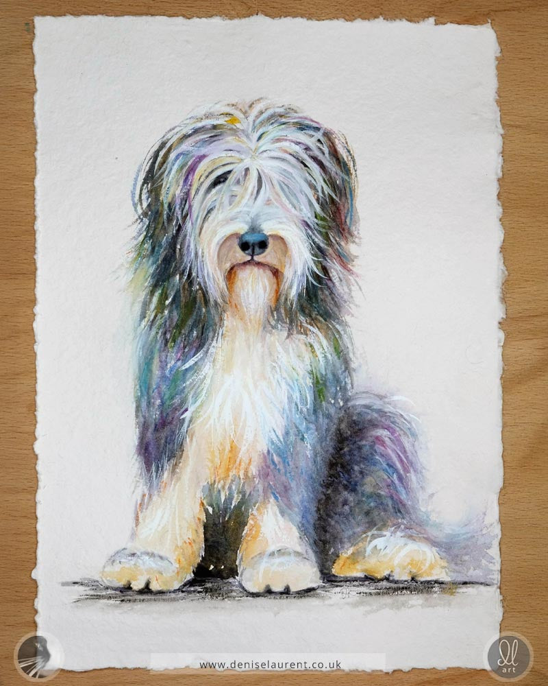 Bearded collie watercolour painting, a colourful and fluffy dog with a mix of blues, purples, and golden hues,painted  on handmade paper.