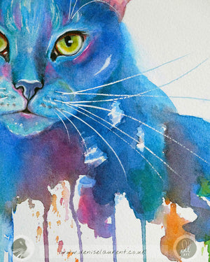 Bloo - 15x11" Cat Watercolour