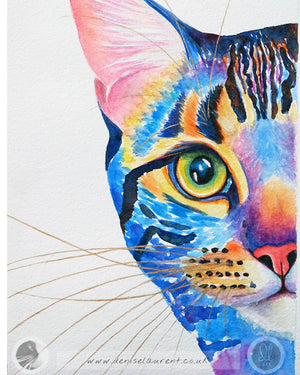 Blue Tabby - Watercolour Painting