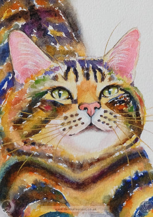 Portrait Of Buster