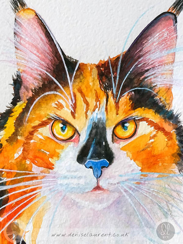original calico cat art - she is a maine coon cat painted in watercolour on Fabriano paper