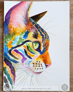 Colourful Tabby - Watercolour Painting