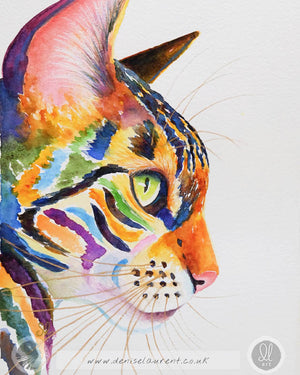 Colourful Tabby - Watercolour Painting