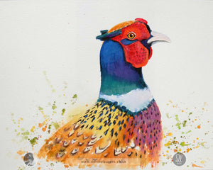 Colorful pheasant watercolour painting