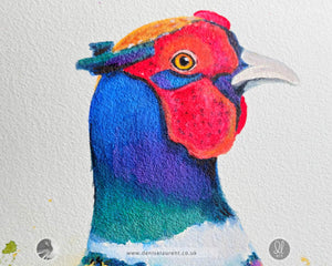 detail of the pheasants head with the iridescent colours in his feathers