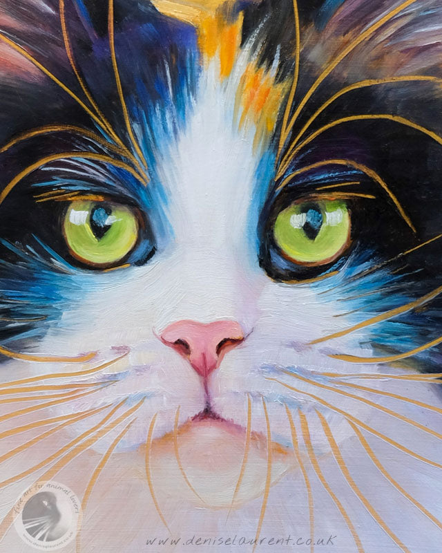 Dior - 10x8" Maine Coon Oil Painting