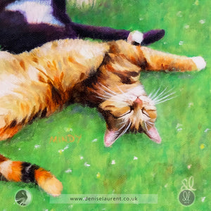 Portrait Of Felix Mitzy Mork And Mindy