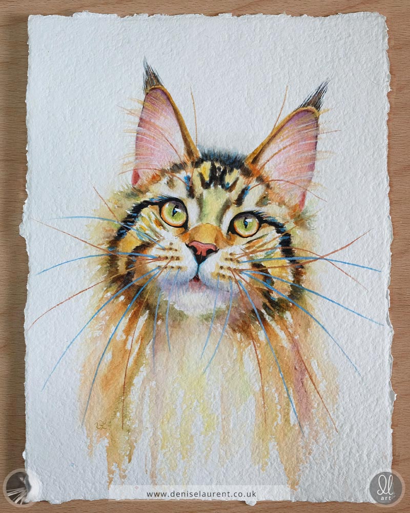 Juno - Maine Coon Cat Watercolour Painting