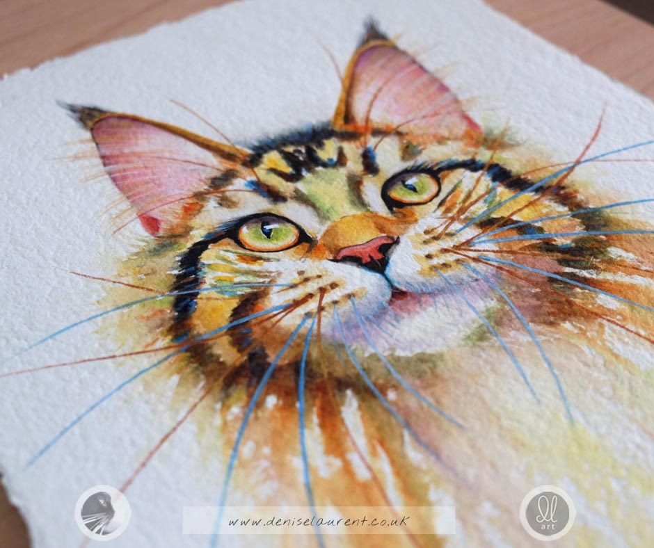 Juno - Maine Coon Cat Watercolour Painting