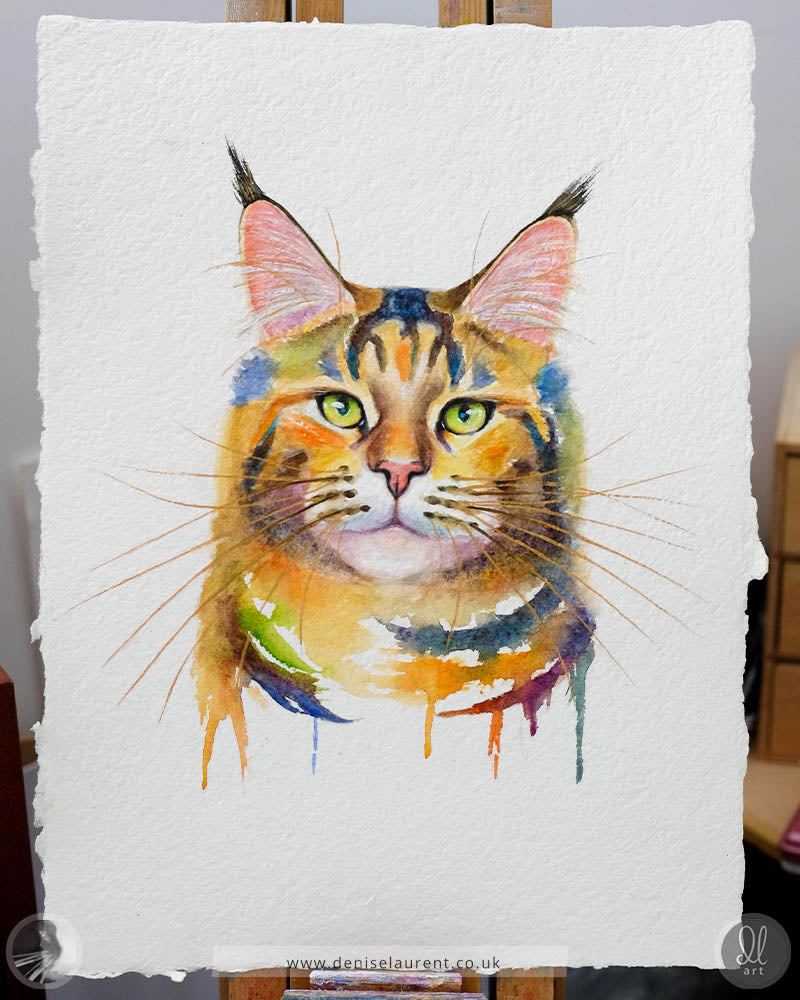 Phoenix - Maine Coon Cat Watercolour