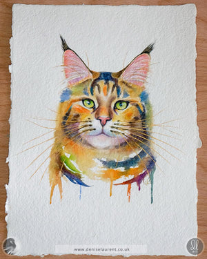 Phoenix - Maine Coon Cat Watercolour