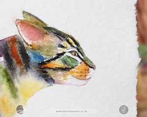 Racing Tabby Watercolour Painting