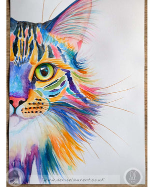 Rainbow Tabby - Watercolour Painting