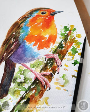 Robin On A Branch - Watercolour Painting