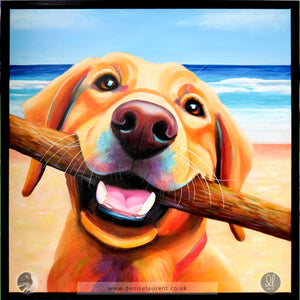 Portrait Of Roo Framed