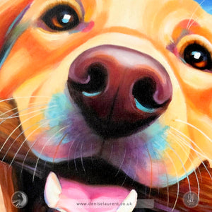 Portrait Of Roo Framed