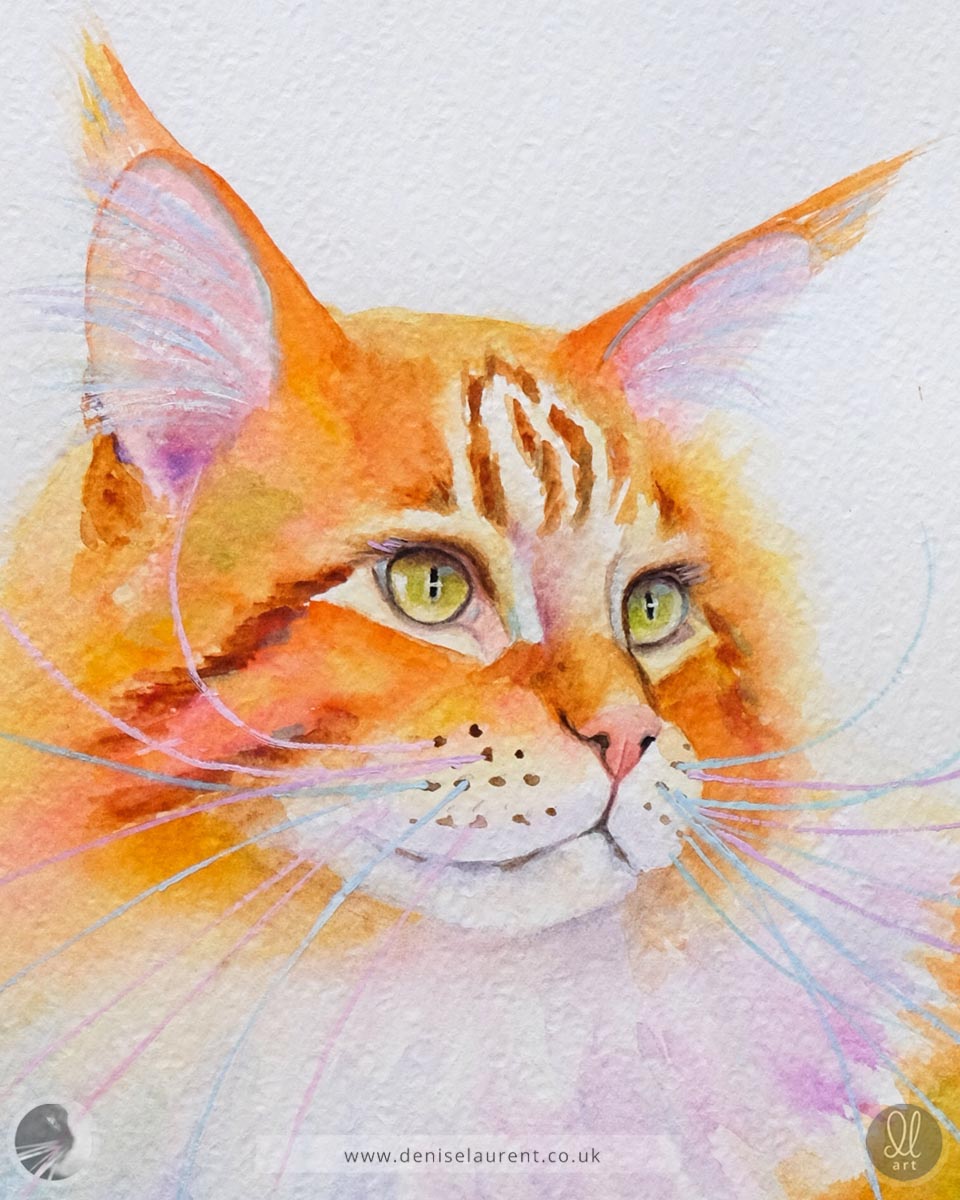 Colorful watercolor painting of a ginger and white maine coon cat on a white background