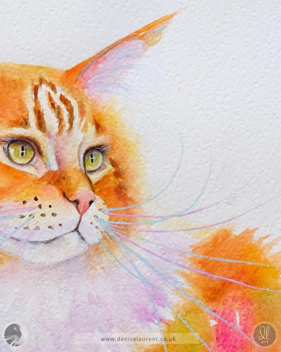 Close up of an original watercolor painting of a ginger and white maine coon cat showing his green eyes and pastel coloured whiskers