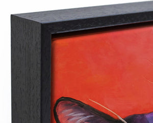 Suggles - Framed Canvas Cat Print