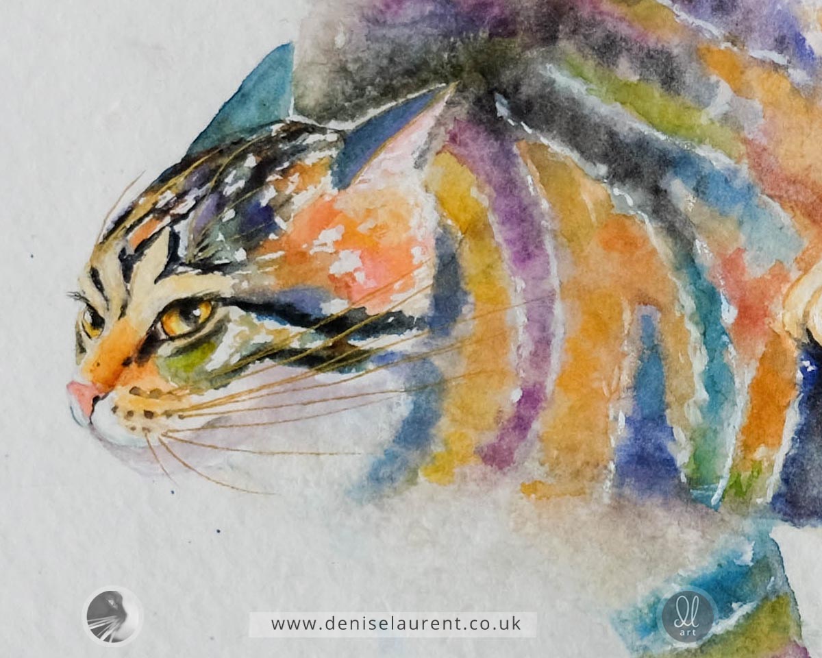 Splish Splash - 23x16 inch tabby cat watercolour