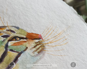 The Zoomies - 16x12 Tabby Cat Watercolour Painting