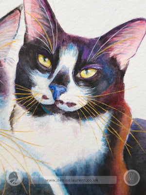 watercolour painting of 2 cats, closeup detail showing the tuxedo cats face, yellow eyes and gold whiskers