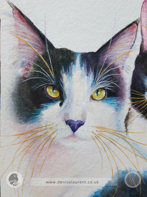 watercolour painting of 2 cats, closeup detail showing the tuxedo cats face and gold whiskers