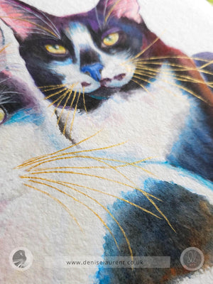 watercolour painting of 2 cats, closeup details showing their gold whiskers