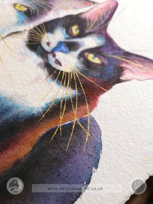 watercolour painting of 2 cats, closeup details showing their gold whiskers