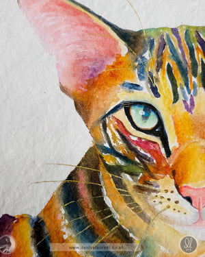 closeup of a watercolour of an oriental tabby on handmade paper, showing his gold whiskers