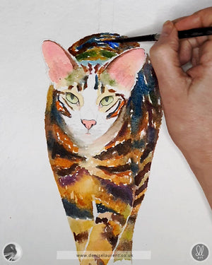 work in progress on a watercolour painting of an oriental brown tabby cat