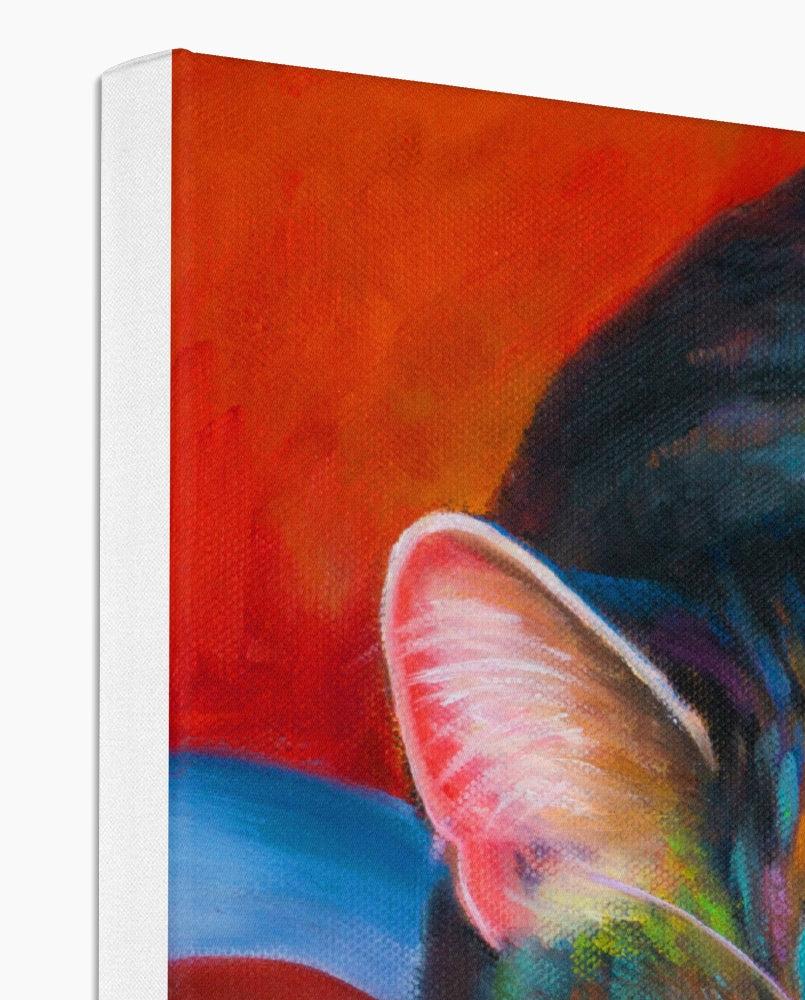 a tabby cat asleep on the laundry