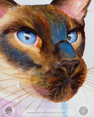 Azure - Siamese Cat Watercolour Painting