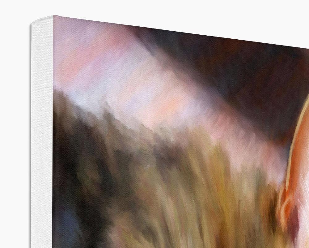 a tabby cat asleep in the sun on the floor