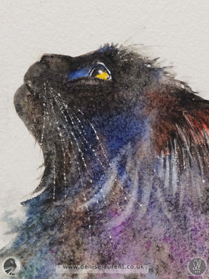 Black Cat profile  - Watercolour