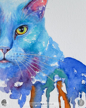 Mr Blue - 16x12" Cat Watercolour